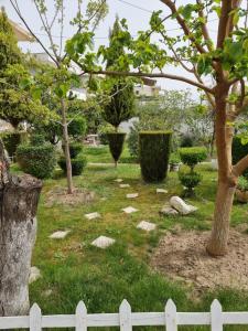 GUEST HOUSE VILA ELEZI外面的花园
