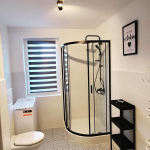 een badkamer met een douche, een toilet en een raam bij Apartamenty Morski Brzeg - Sauna, Balia in Władysławowo