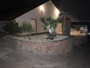 un planteur devant une maison la nuit dans l'établissement Bellavista, à Augusta