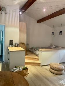 een kamer met een keuken en een bed in een kamer bij "Le cocon des arènes" Arles centre in Arles