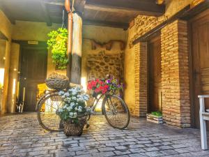 Jazda na bicykli v okolí ubytovania Albergue El Encanto