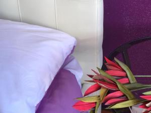 Gallery image of Le Ortensie in centro e vicino al mare in Pescara +49 photos