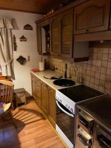 La cuisine est équipée de placards en bois et d'un four avec plaques de cuisson. dans l'établissement Hiša pod Rogatcem, à Luče
