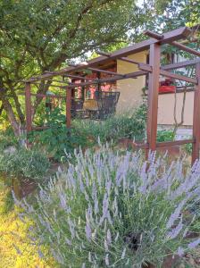 un jardín con plantas púrpuras y pérgola de madera en RELAX HOME Visoko, en Visoko