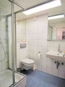 uma casa de banho com um WC, um lavatório e um chuveiro em BlauerSeestern, Ferienwohnung in Allensbach em Allensbach