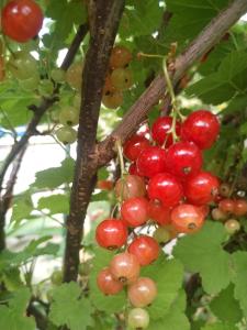 Φωτογραφία από το άλμπουμ του Residencial Playa Lisa σε Boadilla del Monte +43 φωτογραφίες