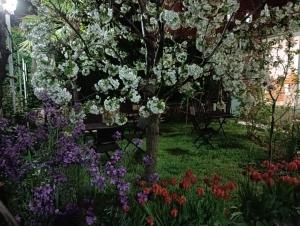 Φωτογραφία από το άλμπουμ του Residencial Playa Lisa σε Boadilla del Monte