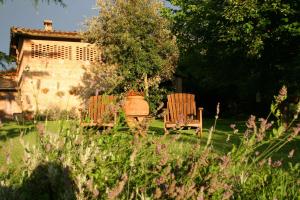 Ogród w obiekcie Agriturismo Poggio Salvi