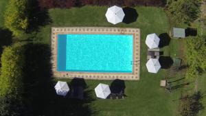 Basen w obiekcie Agriturismo Poggio Salvi lub w pobliżu