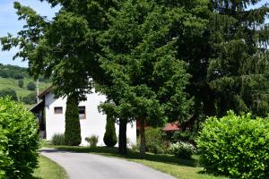 una carretera que conduce a una casa blanca con árboles en Apartment and Rooms Ivancica, en Selište Drežničko