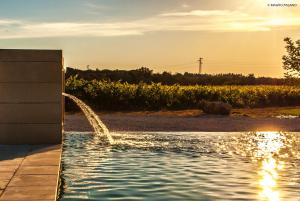 a pool of water in front of a field at Tenuta Kyrios in Borgagne