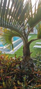 Zahrada ubytování Flor de Coco, Villa neuve, 5 chambres, 5 salles de bains et grande piscine à 250 mètres de la plage