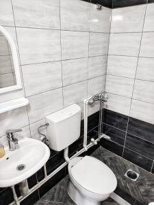 a bathroom with a toilet and a sink at Apartments Iva in Star Dojran +19 photos