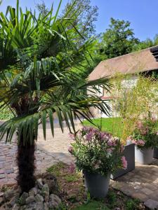 Vonkajšia záhrada v ubytovaní Gîte de la tour de Loire - 65 m2 au pied d'une tour de gué du 17ème siècle + 31 fotografií