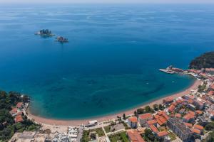 eine Luftansicht auf einen Strand und das Meer in der Unterkunft Apartments Fortunella in Petrovac na Moru