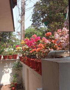 a bunch of flowers in pots on a wall at Padamadan homestay in Cochin