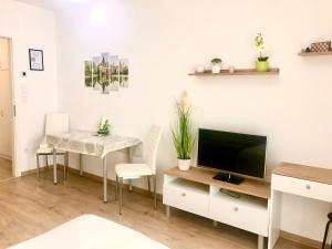 TV a/nebo společenská místnost v ubytování SWEET HOME Apartman , 30sqm studio, free private parking, mountain view, balcony, 20 min from downtown