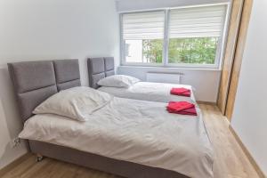 2 camas individuales en un dormitorio con ventana en Apartament przy jeziorze nr 2, en Olsztyn
