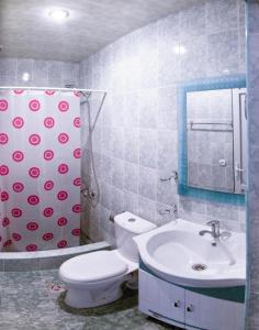 a bathroom with a toilet and a sink and a shower curtain at Kesabella Touristic House in Yerevan