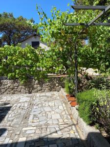 Fotografia z galérie ubytovania Villa Artatore v Mali Lošinj