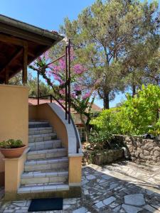 Fotografia z galérie ubytovania Villa Artatore v Mali Lošinj