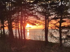 a sunset over the water with a group of trees at Apartament BalticHoff w Let's Sea Baltic Park Gąski in Gąski