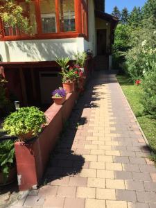 Gallery image of Retro Apartman in Balatonberény