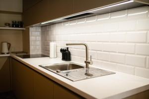 a kitchen counter with a sink in a kitchen at Fotogrāfa Apartamenti in Kuldīga