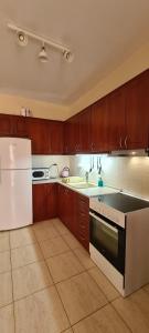 Kuchyň nebo kuchyňský kout v ubytování Galini apartments Kriopigi