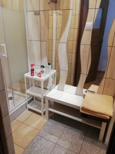 a shower with a white bench in a bathroom at Domek pod Zatorem in Ryczów +24 photos