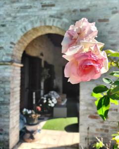 a flower in a vase in front of a brick building at Damabianca in Portogruaro