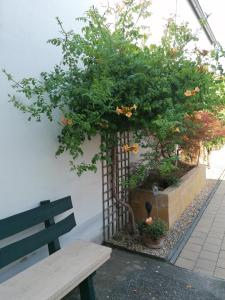 a bench and a tree with flowers next to a wall at Ferienhaus Savannah in Schützen am Gebirge