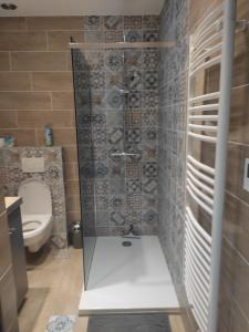 a bathroom with a shower and a toilet at Central Sweet Home in Saint-Gervais-les-Bains