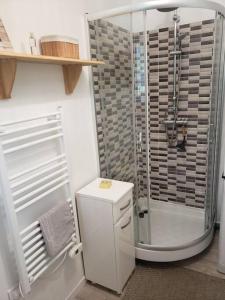 y baño pequeño con ducha y aseo. en Appartement FONTARRABIE, en Saint-Jacques