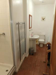 La salle de bains est pourvue d'une douche, d'un lavabo et de toilettes. dans l'établissement Rainors farm B&B, à Gosforth