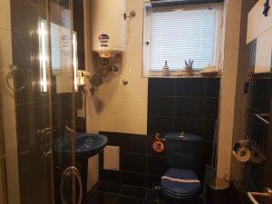 A bathroom at Aheloy Apartments