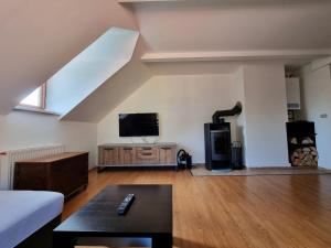 ein Wohnzimmer mit einem Sofa und einem TV in der Unterkunft Apartma Jakob Rogla in Vitanje