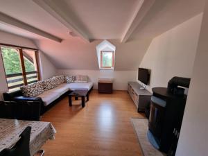 a living room with a couch and a tv at Apartma Jakob Rogla in Vitanje