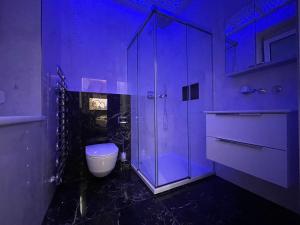 baño púrpura con aseo y ducha en Exklusive Wohnung en Linz