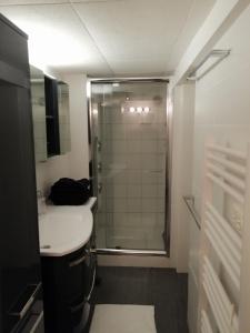 W łazience znajduje się prysznic i umywalka. w obiekcie Villa Bayarde w mieście Figanières
