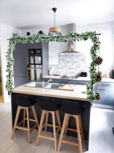 a kitchen with a kitchen island with a green garland at Zoologîte in Saint-Aignan