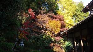 Aed väljaspool majutusasutust 農家民宿 山いちご