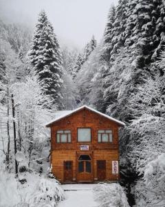 dom w środku pokrytego śniegiem lasu w obiekcie AYDER Nazlı çiçek apart w mieście Ayder Yaylasi