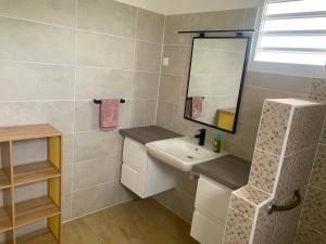 a bathroom with a sink and a mirror at GITES CASUARINA in Sainte-Rose