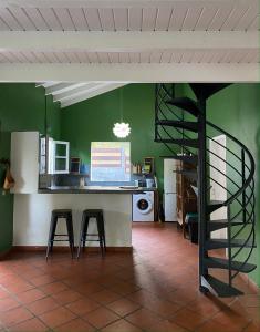 a kitchen with green walls and a spiral staircase at Villa NO&LO in Sainte-Anne +5 photos