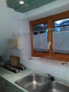 cocina con fregadero y ventana en Flamingo Apartman en Sopron