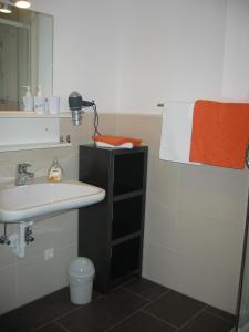 a bathroom with a sink and a mirror at Haus Steinbrecher Hallstatt in Hallstatt