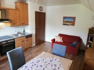 Kuchyňa alebo kuchynka v ubytovaní Ferienwohnung Marina