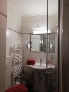 a bathroom with a sink and a mirror at Ferienwohnung Marina in Mariapfarr