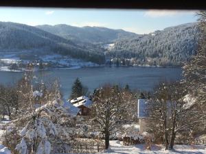 Fotografia z galérie ubytovania EB 2 échappée v destinácii Gérardmer